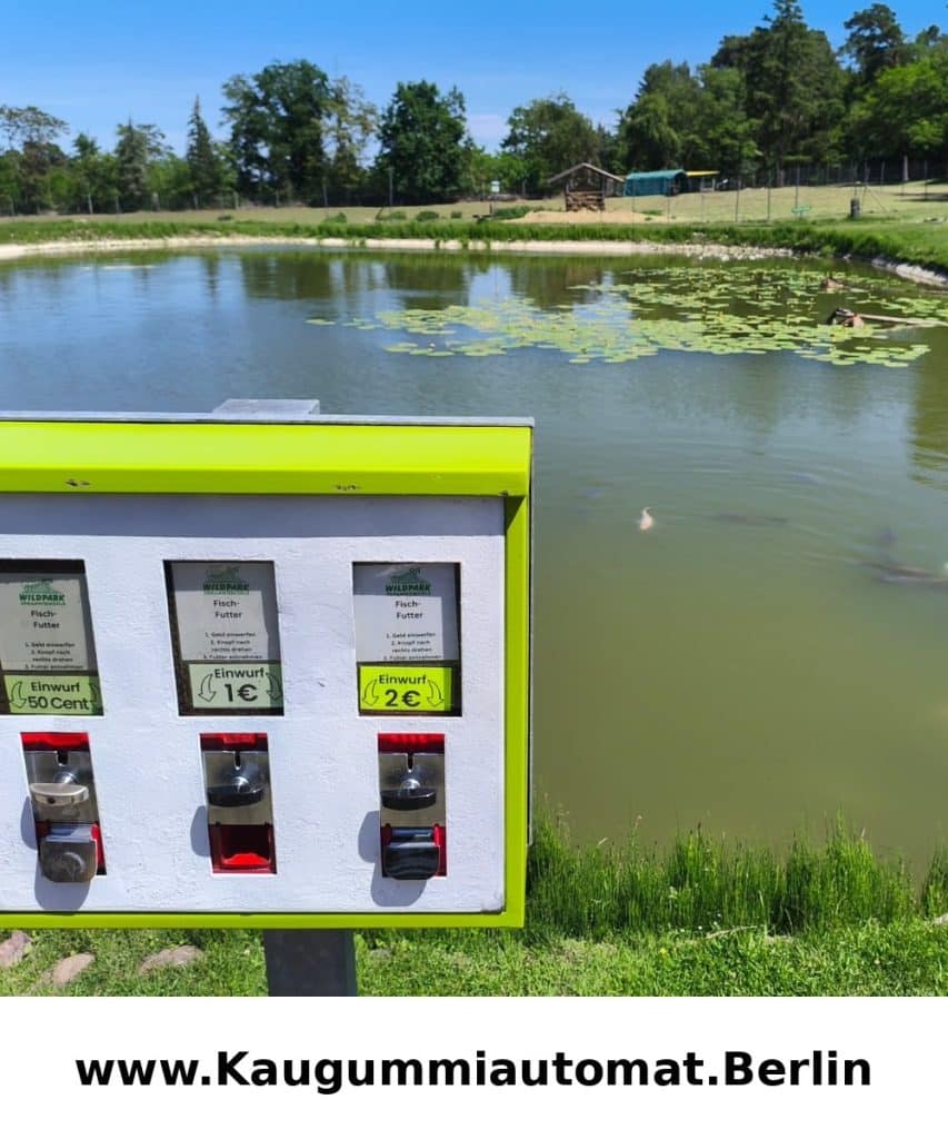 Futterautomat Fischfutter 3 Schacht am Teich